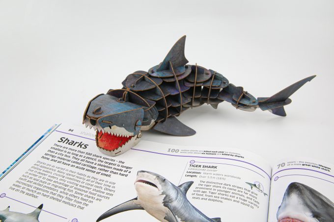 3D púsl: Hákarl